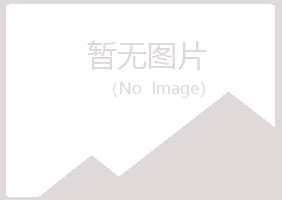 雅安晓夏机械有限公司